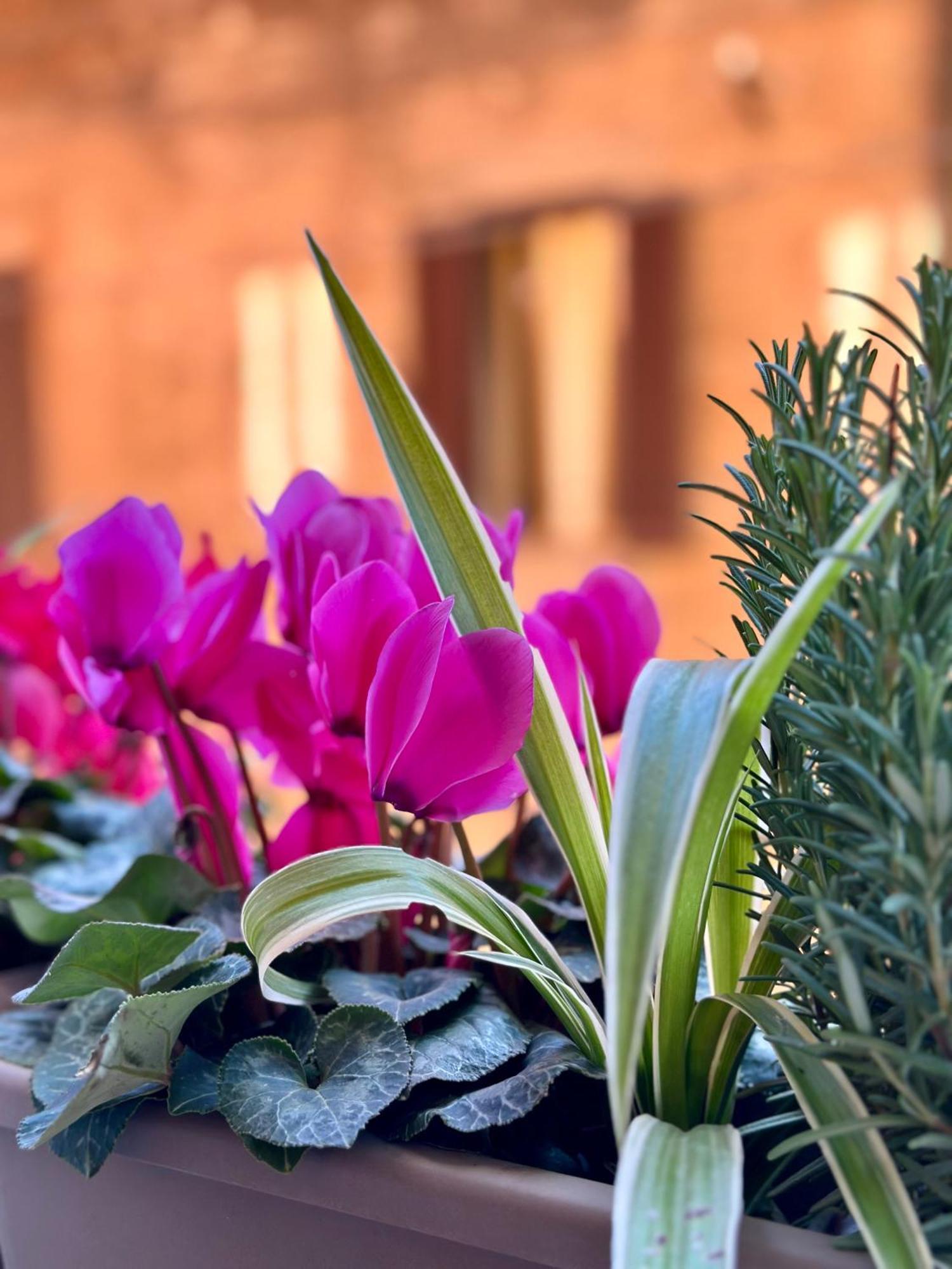 Ferienwohnung Casa Belfiore Bologna Exterior foto